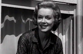 Dennis The Menace, Season Two: Paint-Up, Clean-Up Week