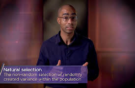 Understanding Human Emotions: How Emotions Evolved