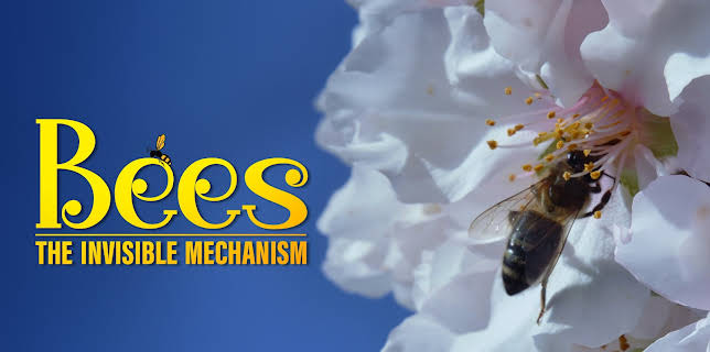 BEES THE INVISIBLE MECHANISM (2025)