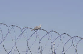 Killer Stories Season 1: Matthew