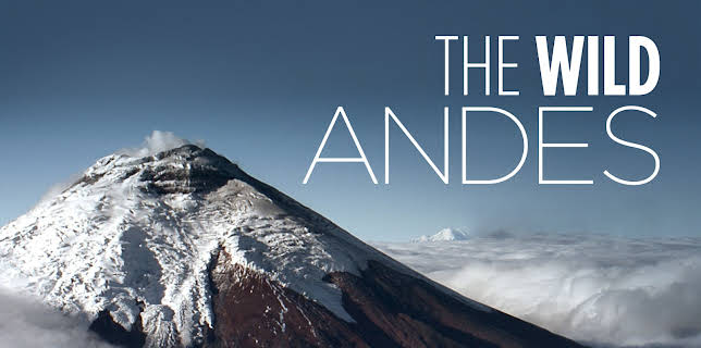 The Wild Andes