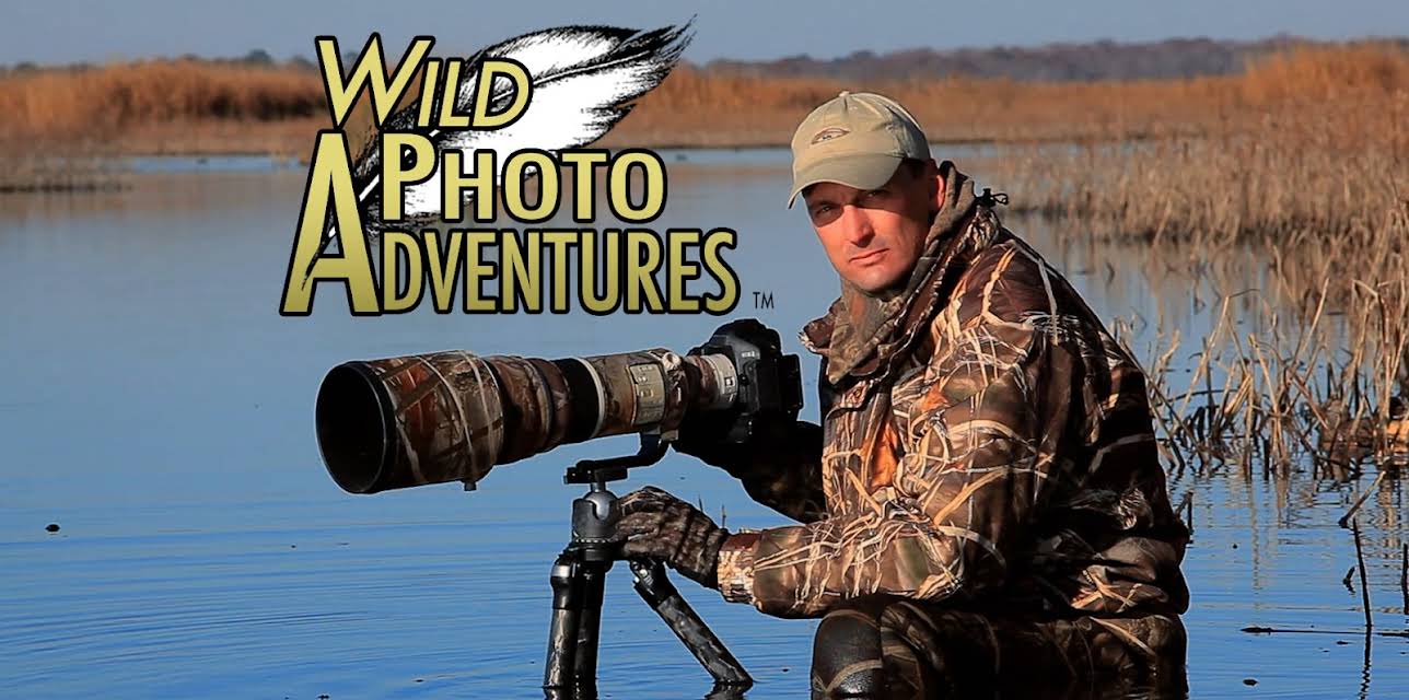 Wild Photo Adventures