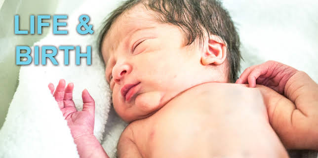 Life and Birth
