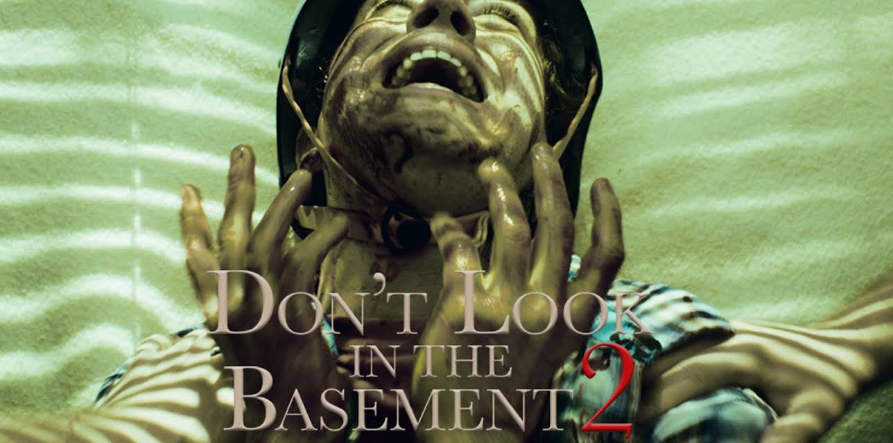 Don't Look in the Basement 2 (2016)