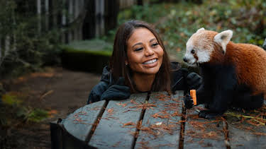 4:05 PM: Inside Longleat (S1 E3) (S1) | Channel 5 | 7/25 2026