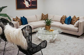 Windy City Rehab, Season 1: Historic Pain or Economic Gain