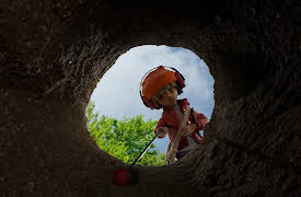 The Sound Collector: Meerkat Mayhem | Lost in the Fog