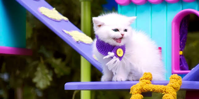 17:15: Rosin og Bolle: Kattevenndag | NRK Super | 1/27 2026