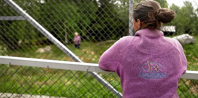 20:15: Nytt blod: Utenfor gjerdet | NRK Tegnspraak | 12/17 2025