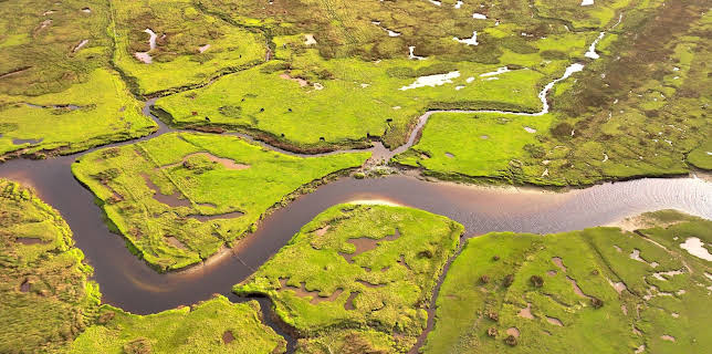 11:55: Nationalparks - Geschützte Naturwunder | ZDFinfo | 11/24 2025