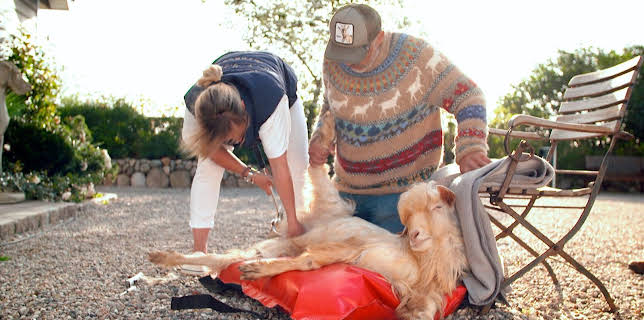 10:20: Die Tierärzte - Retter mit Herz (45) | WDR Fernsehen | 3/13 2026