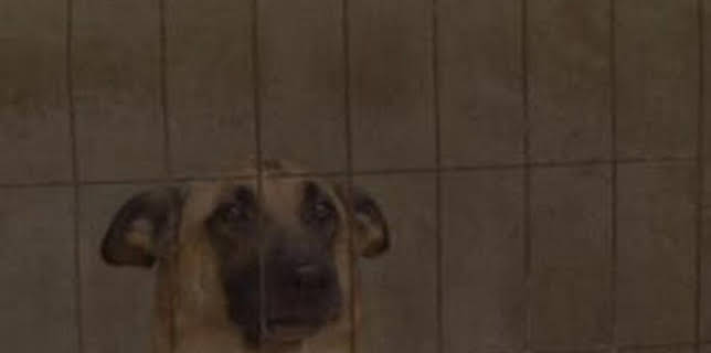 18:27: Seprona en acción: Episodio 10 | Discovery Max | 2/7 2026