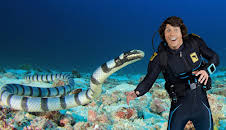 Andys ville vasseventyr: Andy og havslangane