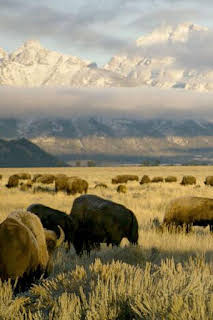 14:45: Parques Nacionales de América | La Otra | 3/30 2026