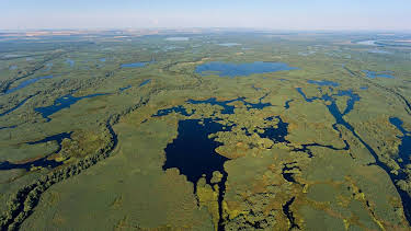 13:15: Flussgiganten | MDR Fernsehen | 4/25 2026