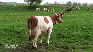 11:30: Hofgeschichten - Unsere Lieblinge | Radio Bremen | 5/1 2026