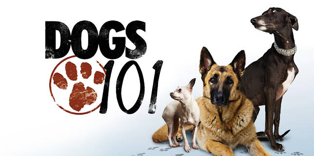 Dogs 101 Season 1