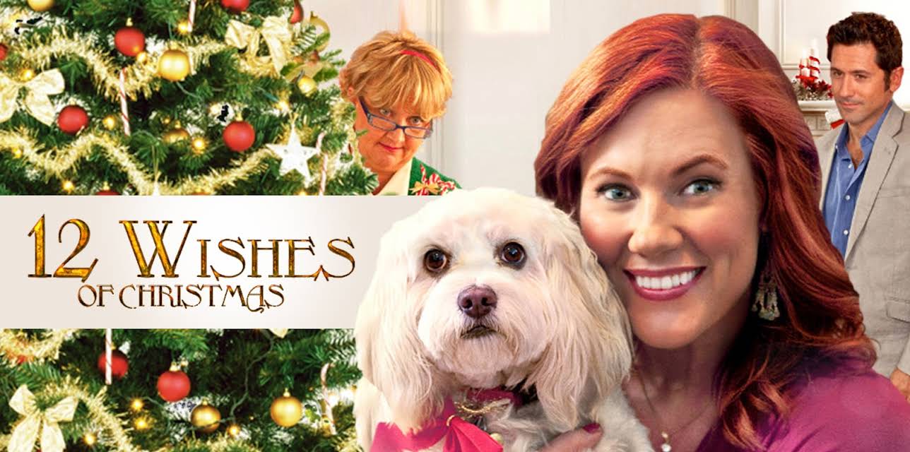 12 Wishes of Christmas (2011)