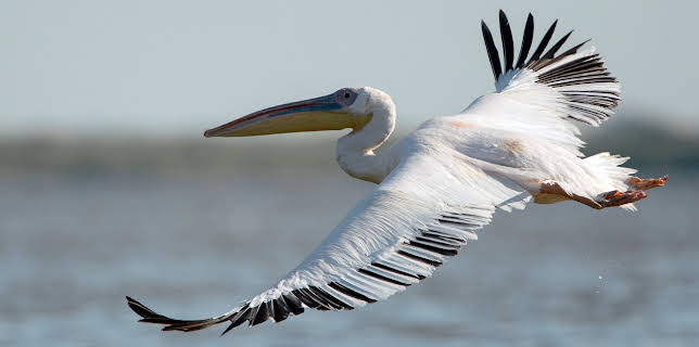 05:56: GEO Reportage | Arte | 11/10 2025