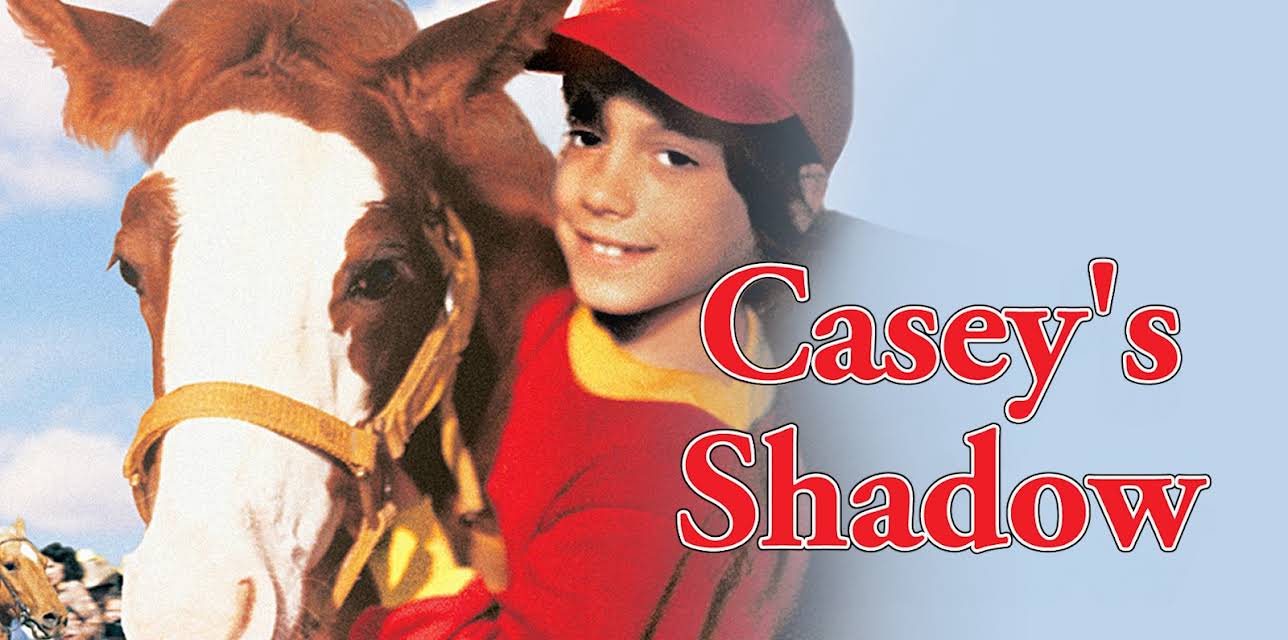 Casey's Shadow (1978)