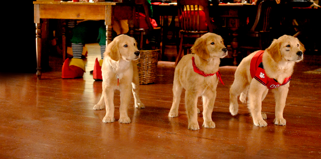 Santa Buddies: The Legend of Santa Paws (2009)