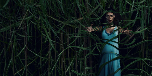 In the Tall Grass (2019)