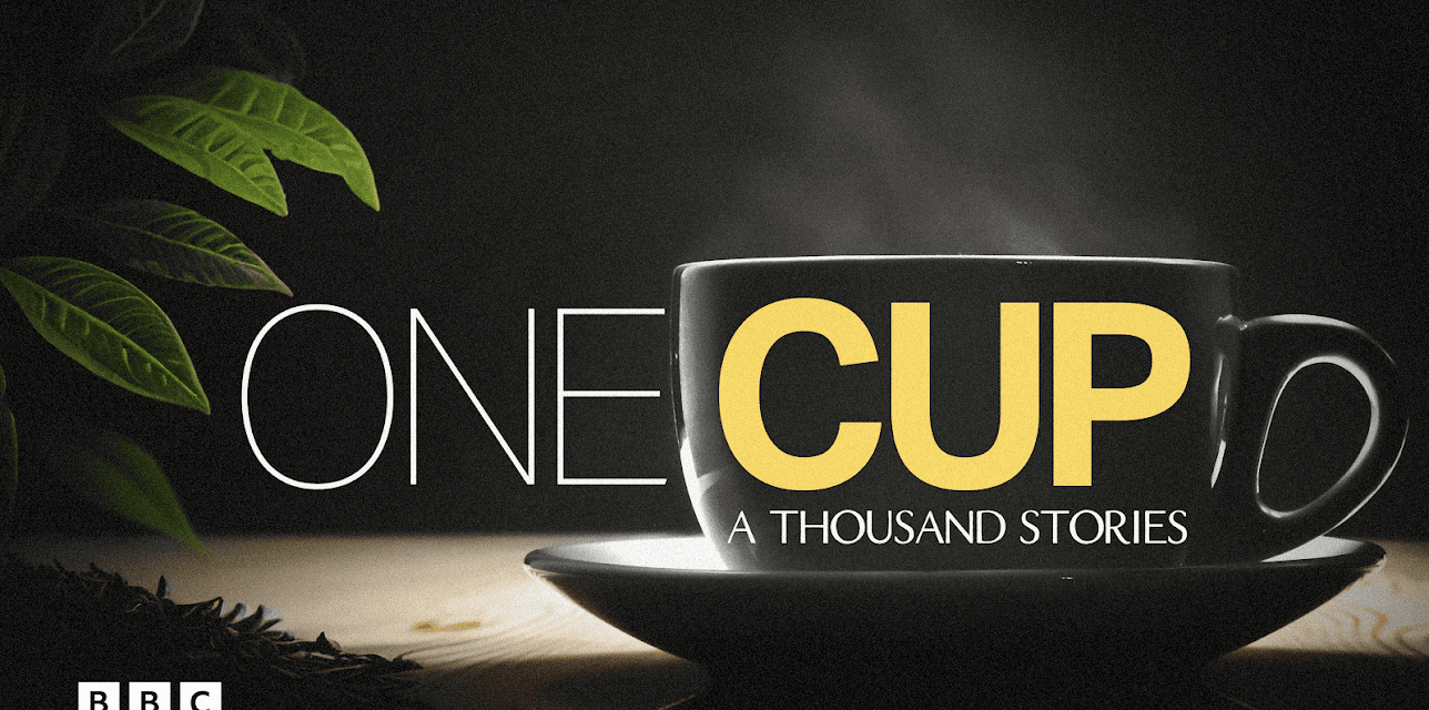 One Cup, A Thousand Stories