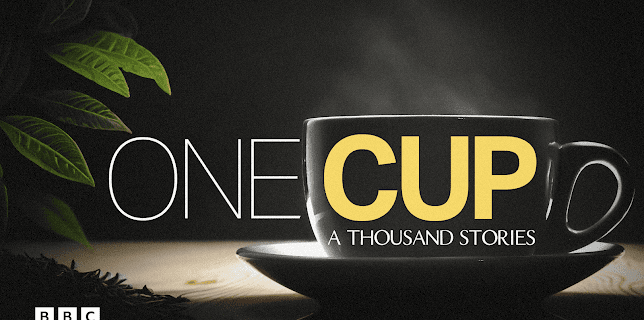 One Cup, A Thousand Stories