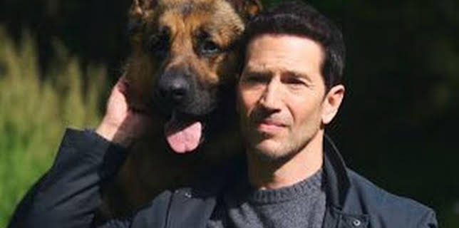 11:58: Hudson y Rex (T8): Ep.5 Resistencia Máxima Terranova | AXN | 3/1 2026