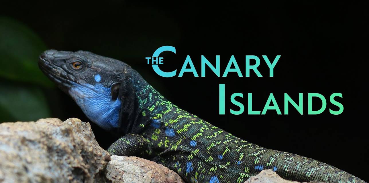 The Canary Islands - In the shadows of volcanoes (2014)