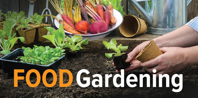 How to Grow Anything: Food Gardening for Everyone