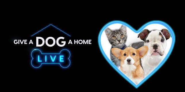 Give a Dog a Home Live!