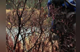 Ultimate Survival Alaska Season 1: Sink or Swim