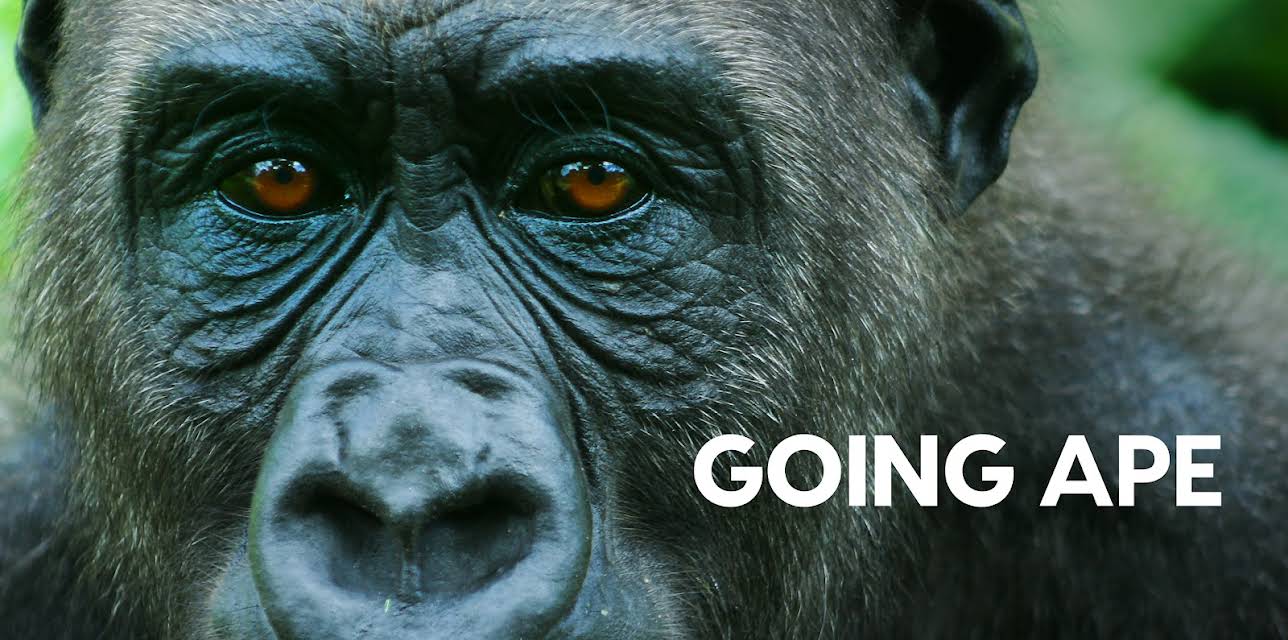 Going Ape