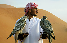 Wild Arabia Season 1: Shifting Sands