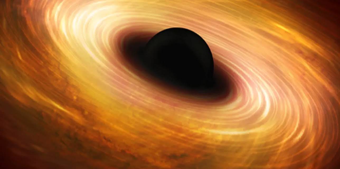 Black Holes, Tides, and Curved Spacetime: Understanding Gravity