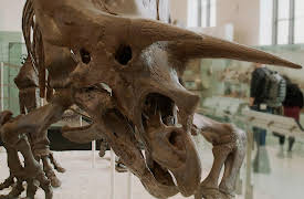 Alma's Way Shorts, Volume 1: My Way: Dinosaurs!