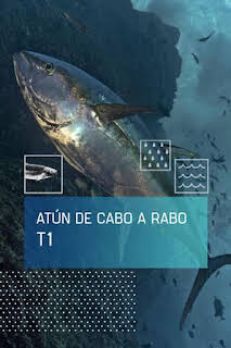 10:10: El atún de cabo a rabo: El sueño del atún | Caza y Pesca | 10/12 2026
