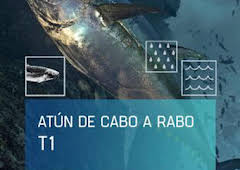 El atún de cabo a rabo: El sueño del atún