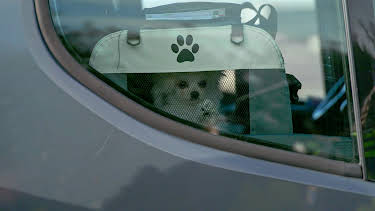 20:00: Gränsbevakarna Sverige (S8 E7) (S8) | Kanal 5 | 4/7 2026