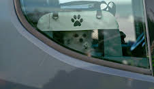 Gränsbevakarna Sverige (S8 E7)