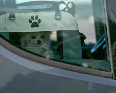 Gränsbevakarna Sverige