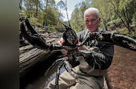 Jeremy Wade: Dark Waters Season 1: Jurassic River Beast