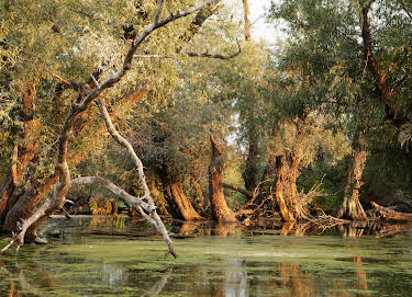 18:00: Donau - Lebensader Europas (1/2) | 3SAT | 8/16 2026
