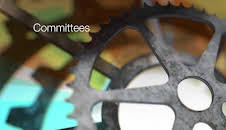 Select Committees