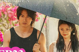 The Forbidden Flower: The Forbidden Flower EP23