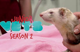 Junior Vets: Double Emergency