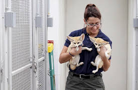 The Zoo Season 1: Birds and the Bees