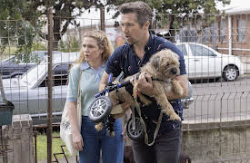 Colin from Accounts: High Needs People