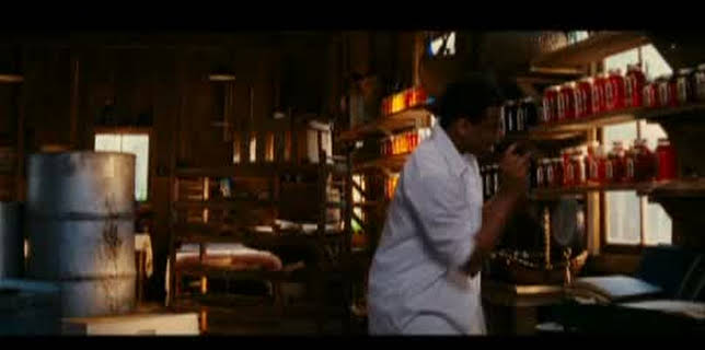 The Secret Life of Bees (2008)